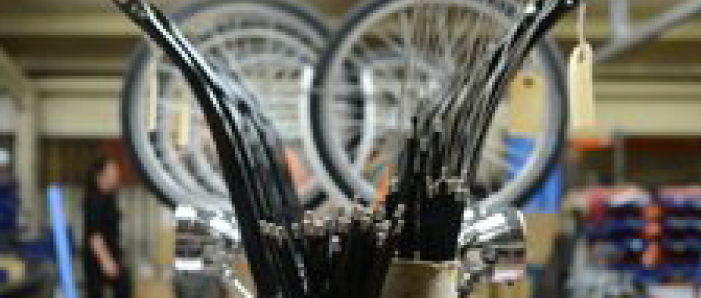 princess-sovereign-flower302x302