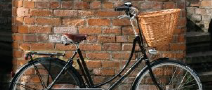 princess-sovereign-flower302x302